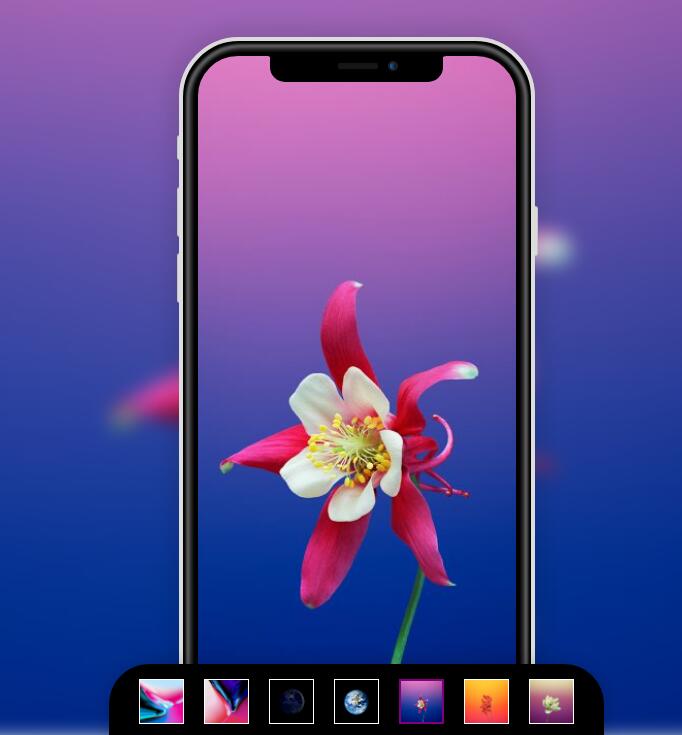 iPhoneX手机屏幕背景和页面背景图片同时切换特效源码-易站站长网