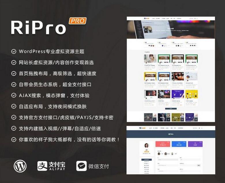 日主题RiPro v8.6 无限制免授权破解版-易站站长网