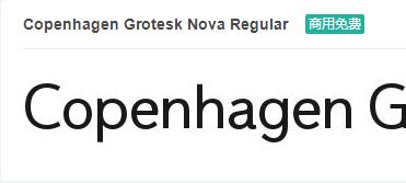 Copenhagen Grotesk Nova Regular英文ttf字体免费下载-易站站长网