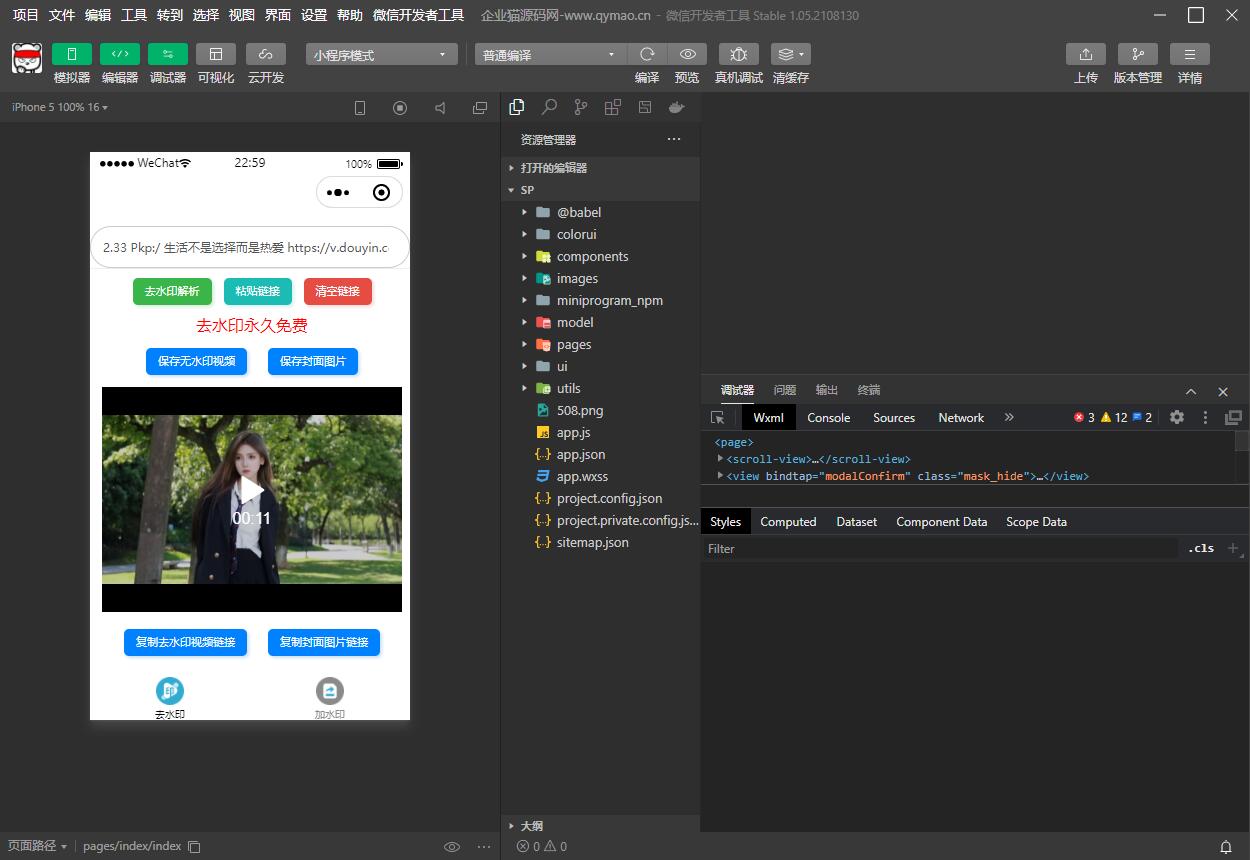 短视频去水印和图片加水印生成微信小程序源码-易站站长网