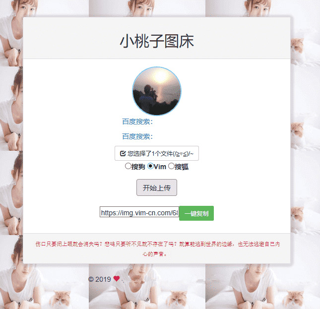 极简聚合图床程序源码-支持搜狗搜狐Vim图-易站站长网
