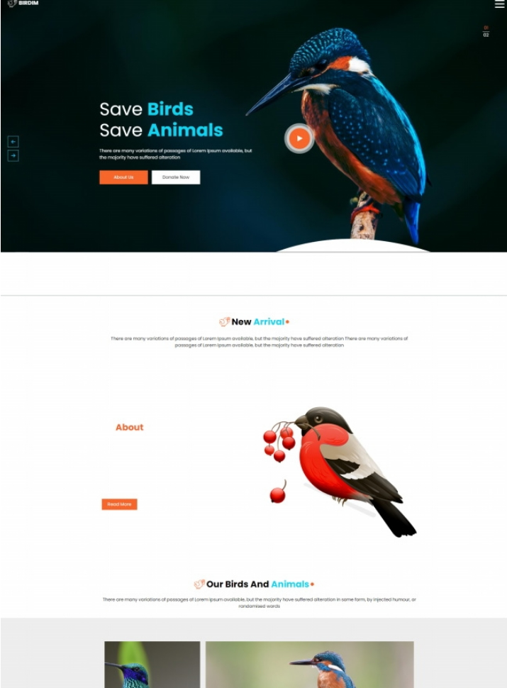 拯救鸟类拯救动物网站html5模板源码-易站站长网